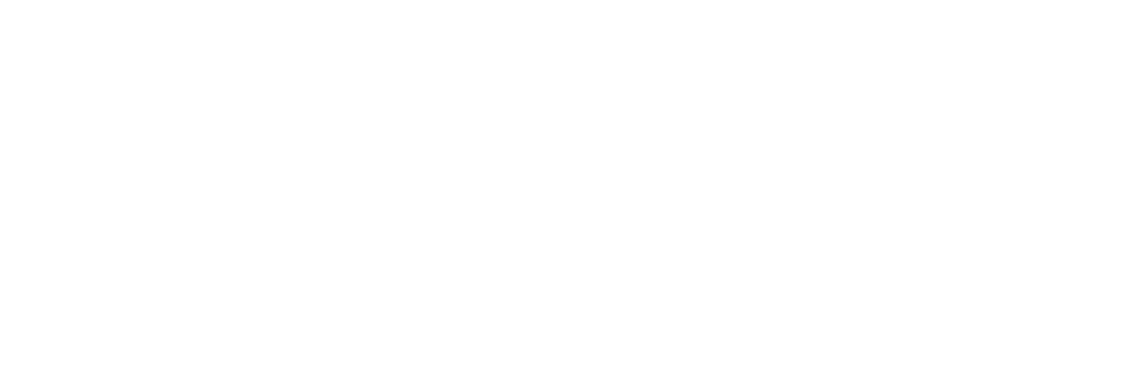 bizsquare accounting logo white