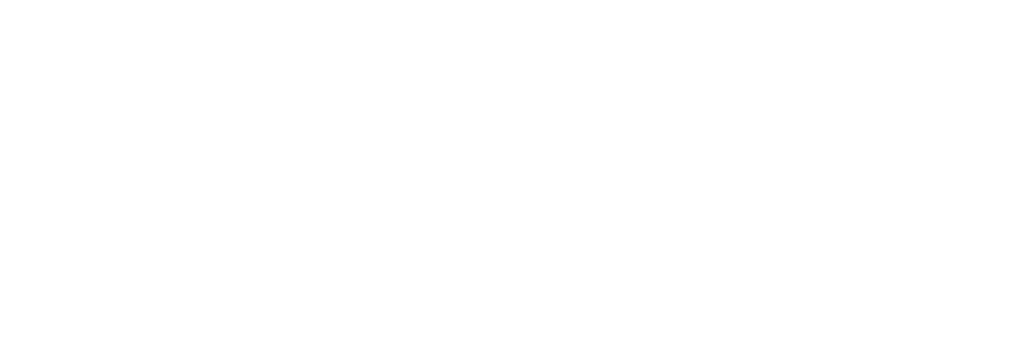 bizsquare accounting logo white