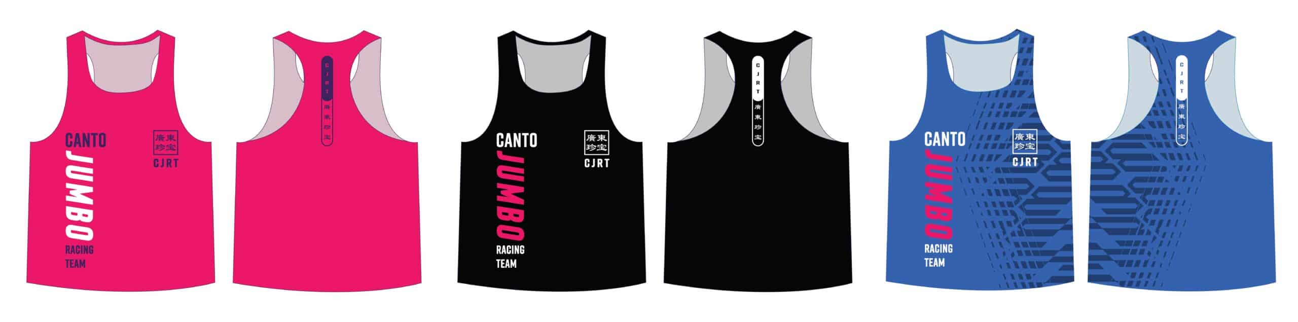 professional corporate secretary