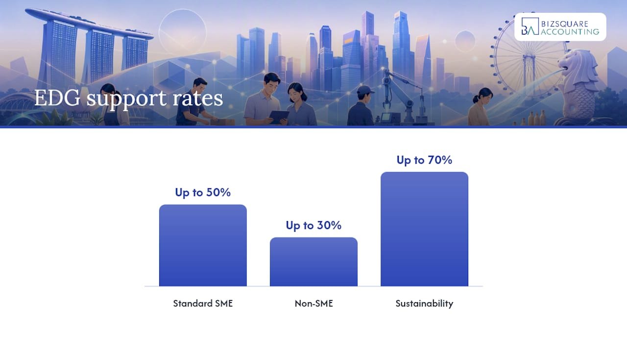 What Does the EDG Grant Singapore Programme Actually Fund? — overview diagram